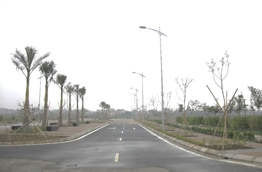 XâXây dựng đường và cơ sở hạ tầng khu mở rộng Trường Cao đẳng Thuỷ sản